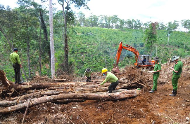 Lâm Đồng thu hồi 208 dự án đầu tư trên đất nông nghiệp