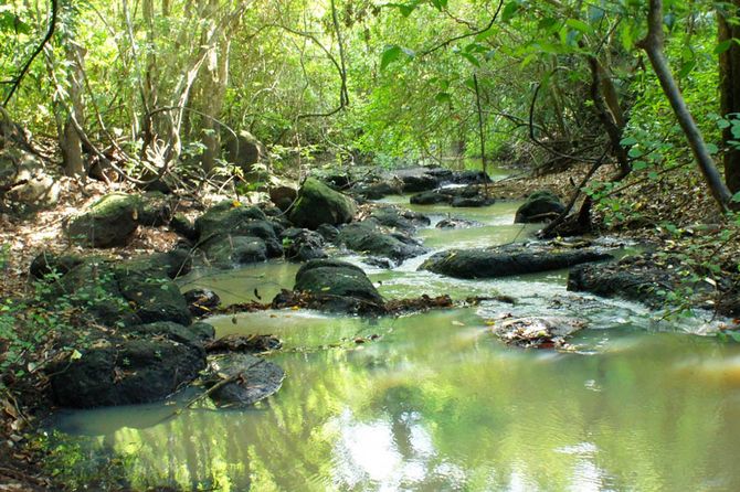 Du ngoạn Vườn quốc gia Lò Gò - Xa Mát, Tây Ninh