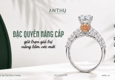 ĐẶC QUYỀN NÂNG CẤP – GIỮ TRỌN GIÁ TRỊ